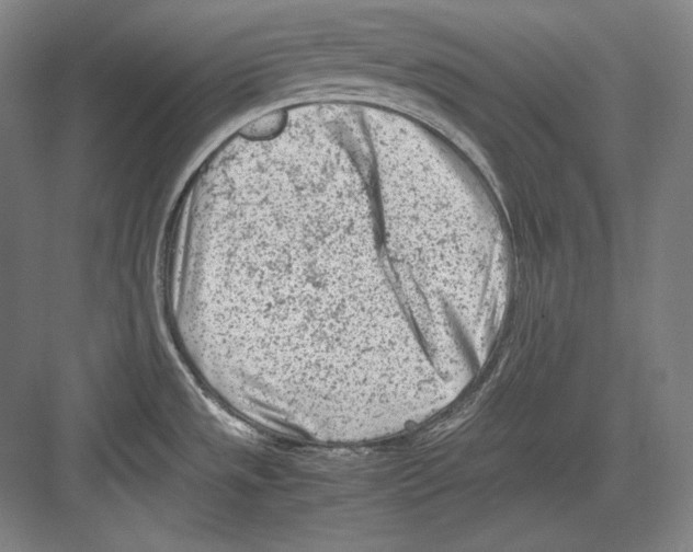 X0000081571533200702121409