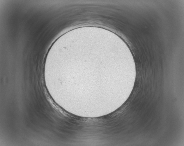 X0000081571534200702121409