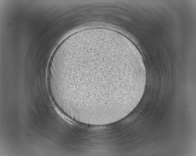 X0000081571535200702121409