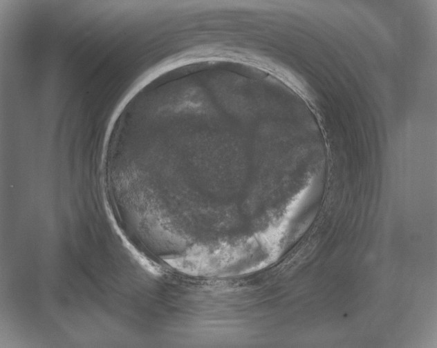 X0000081571536200702121409