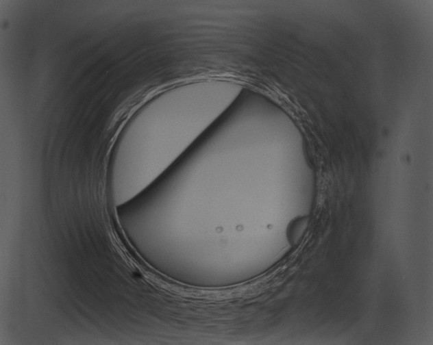 X0000081580002200701151012