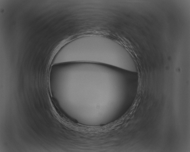 X0000081580003200701151012