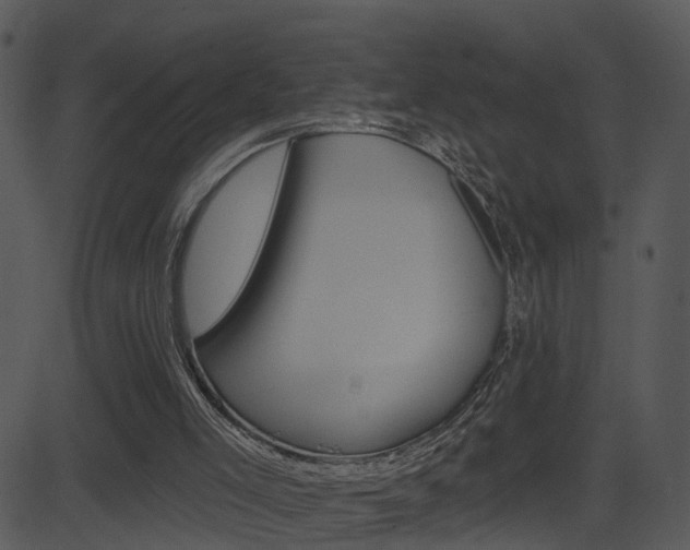 X0000081580005200701151012