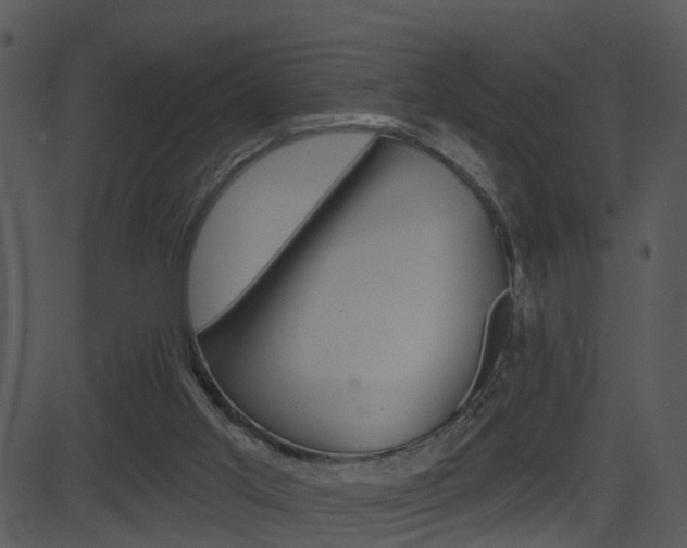X0000081580013200701151012
