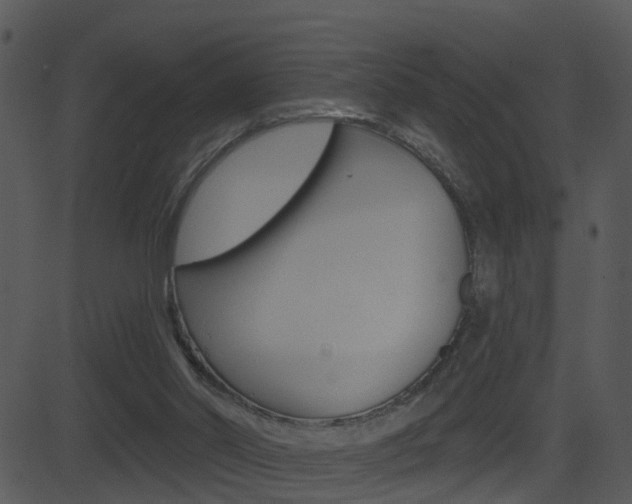 X0000081580014200701151012
