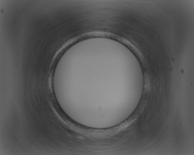 X0000081580016200701151012