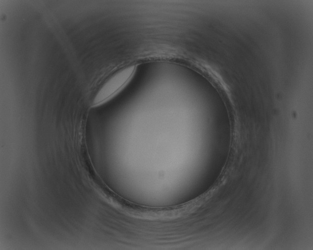 X0000081580017200701151012
