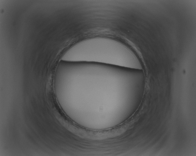 X0000081580018200701151012