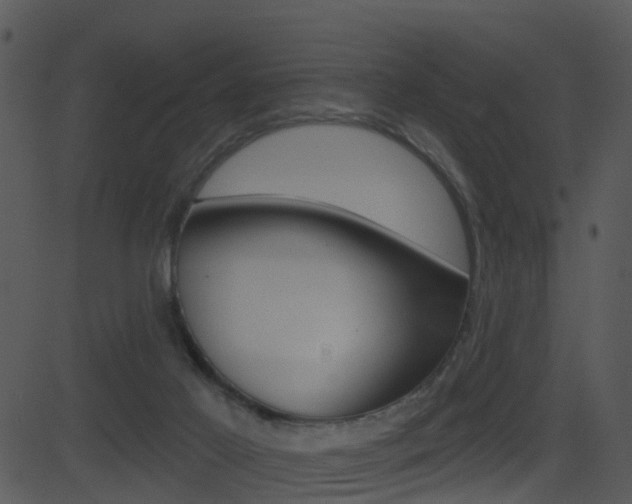X0000081580021200701151012