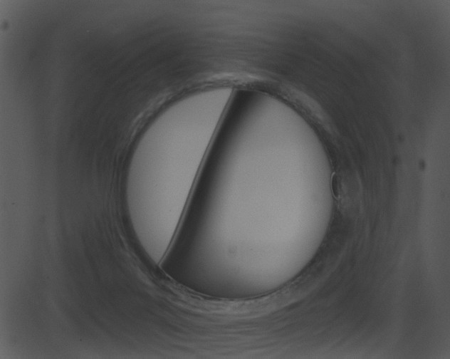X0000081580023200701151012