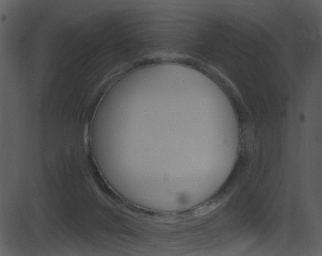 X0000081580024200701151012