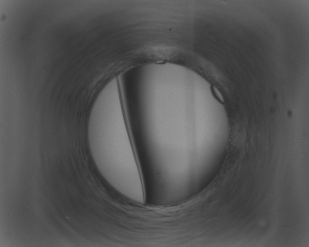 X0000081580027200701151012