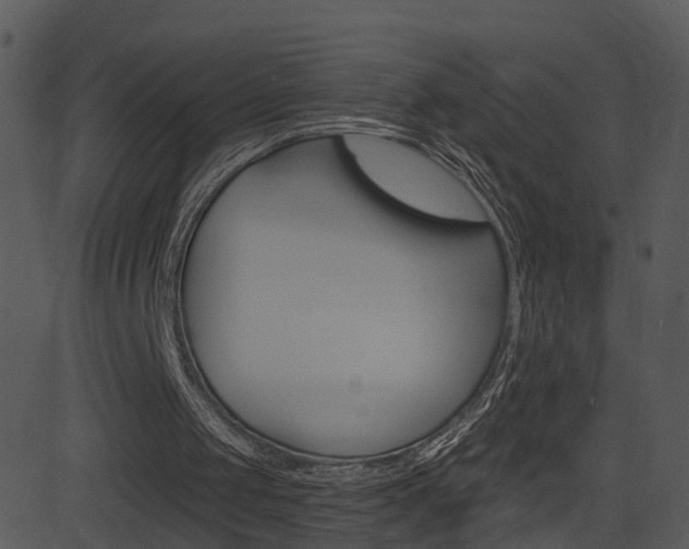 X0000081580049200701151011