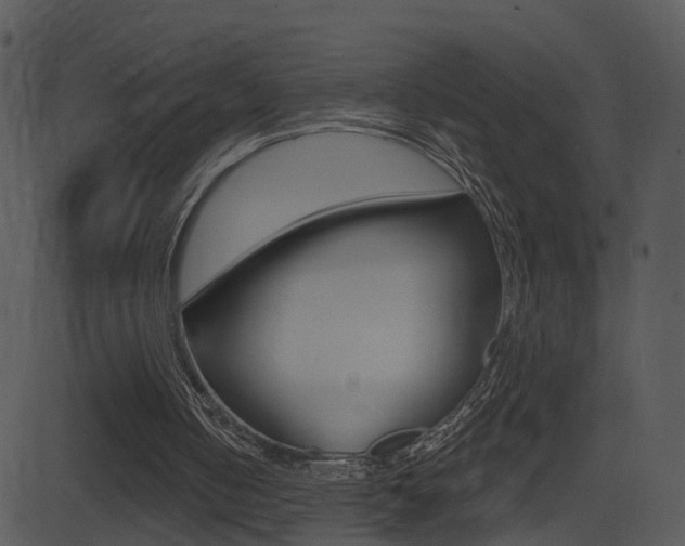 X0000081580050200701151011