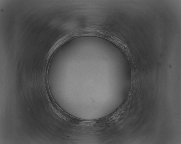 X0000081580051200701151011