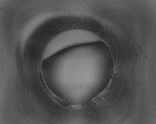 X0000081580052200701151011