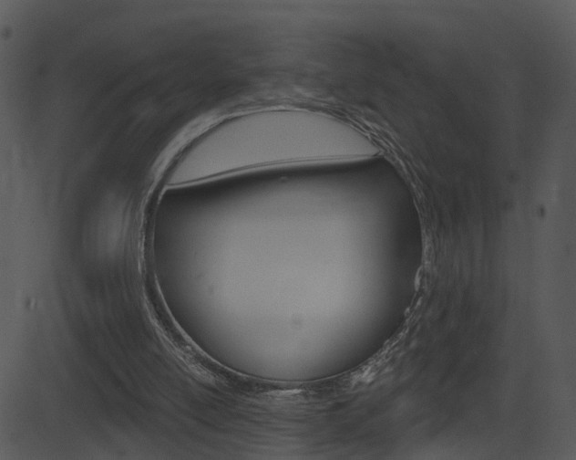 X0000081580054200701151011