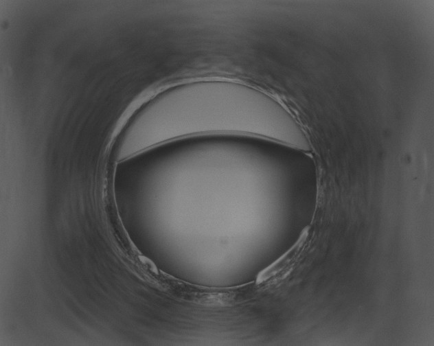 X0000081580056200701151011