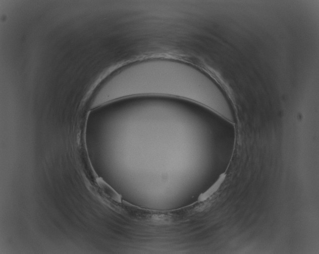 X0000081580060200701151011