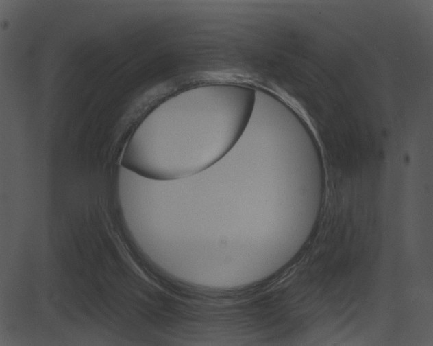 X0000081580061200701151011