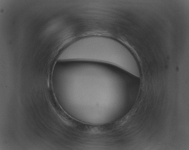 X0000081580062200701151011
