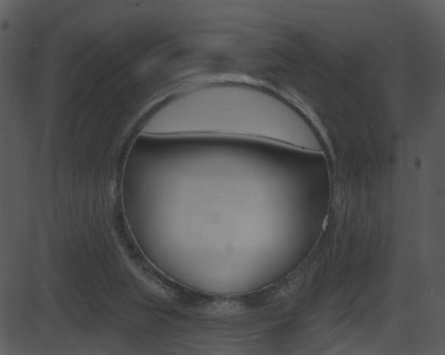 X0000081580063200701151011
