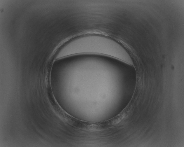 X0000081580064200701151011