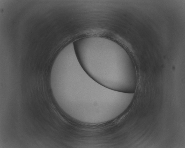 X0000081580065200701151011