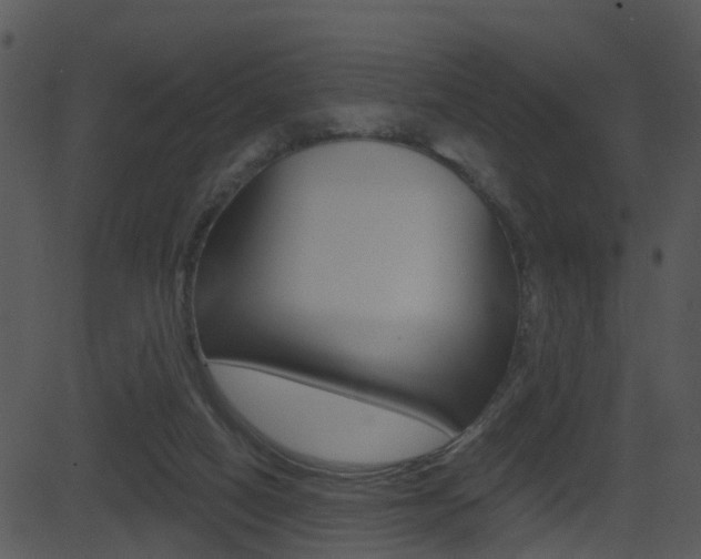 X0000081580066200701151011