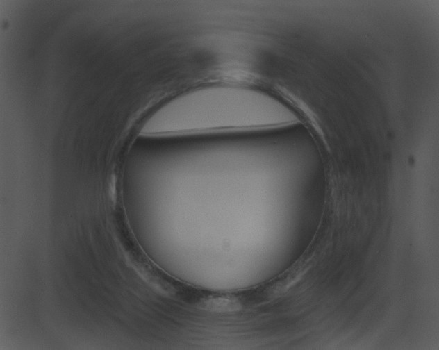 X0000081580067200701151011