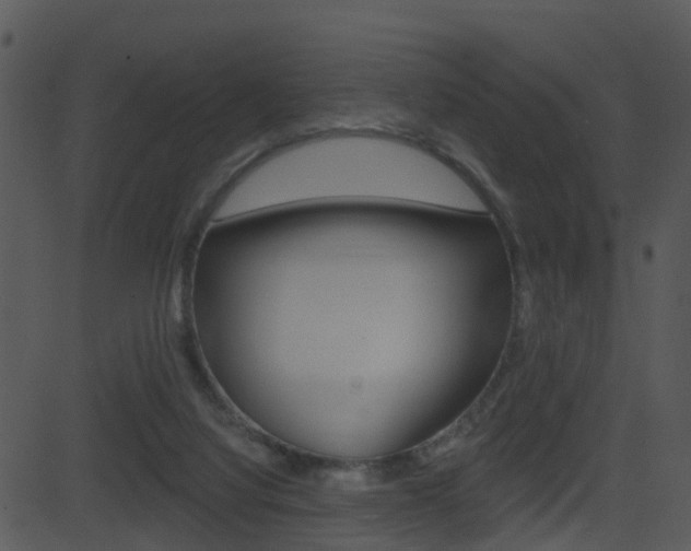 X0000081580068200701151011