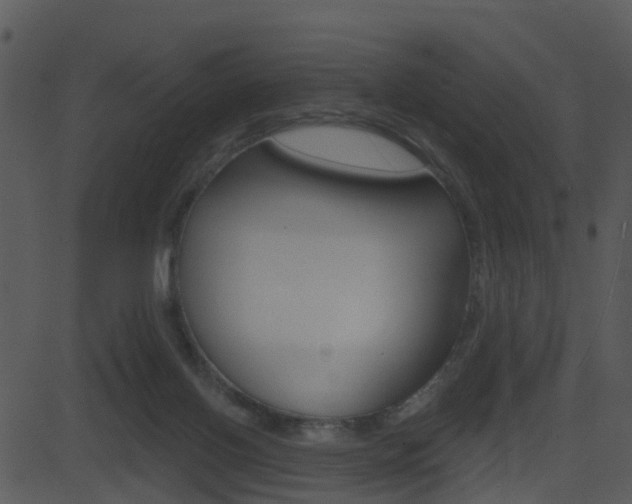 X0000081580070200701151011