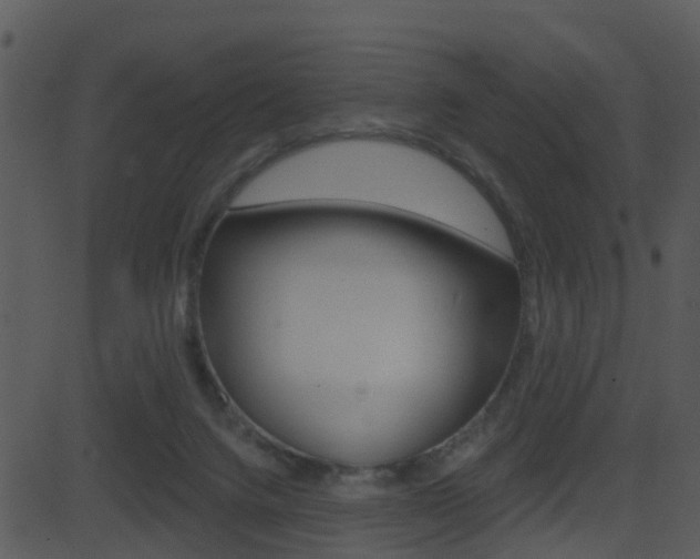 X0000081580072200701151011