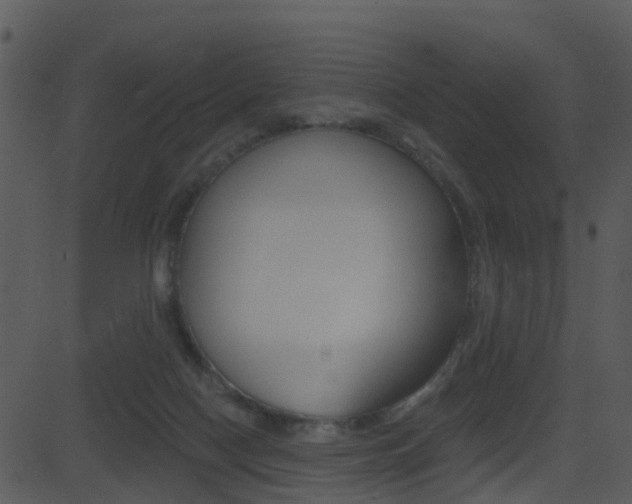 X0000081580074200701151011
