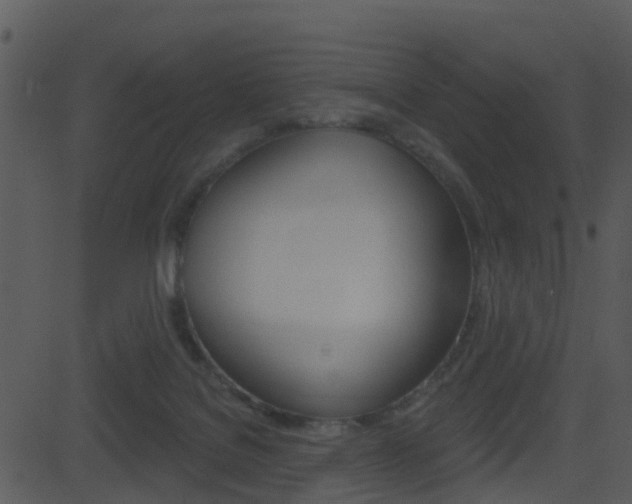 X0000081580076200701151011
