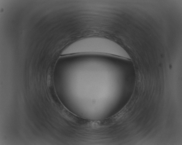 X0000081580080200701151011