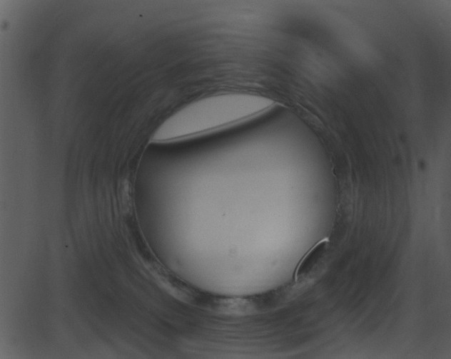 X0000081580087200701151011