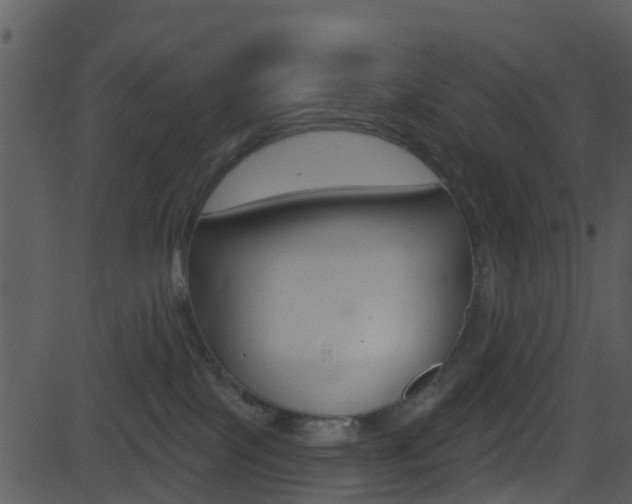X0000081580089200701151011