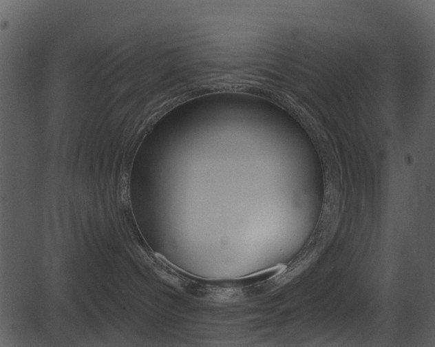 X0000081580096200701151012