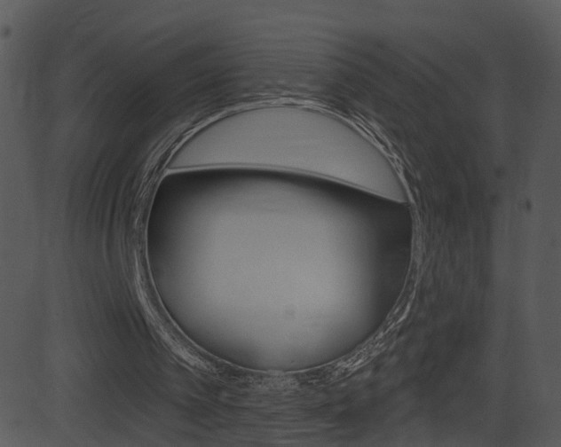 X0000081580097200701151011