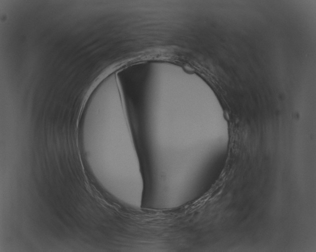 X0000081580100200701151011