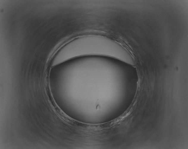 X0000081580101200701151011