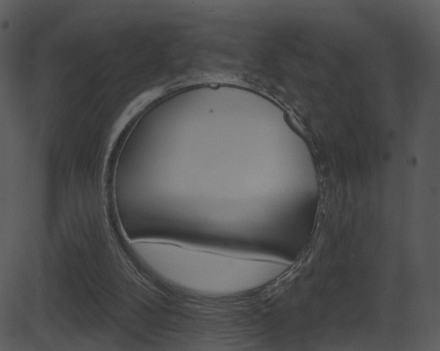 X0000081580104200701151011