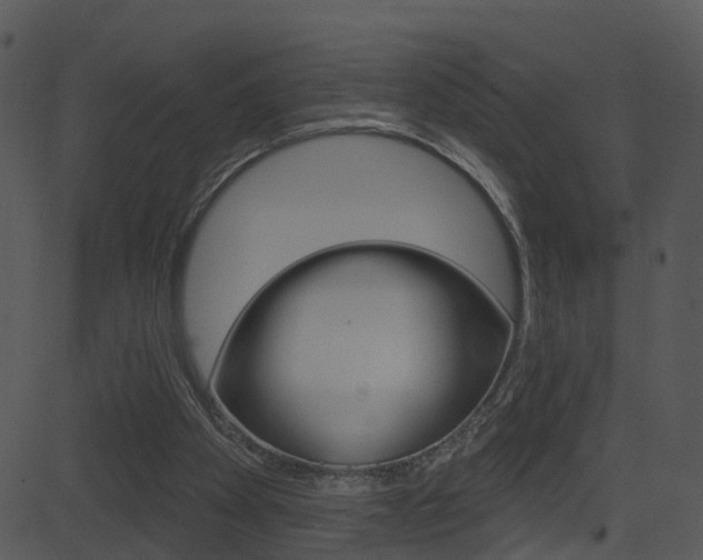 X0000081580105200701151011
