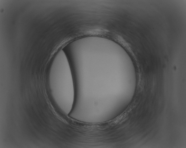 X0000081580106200701151011