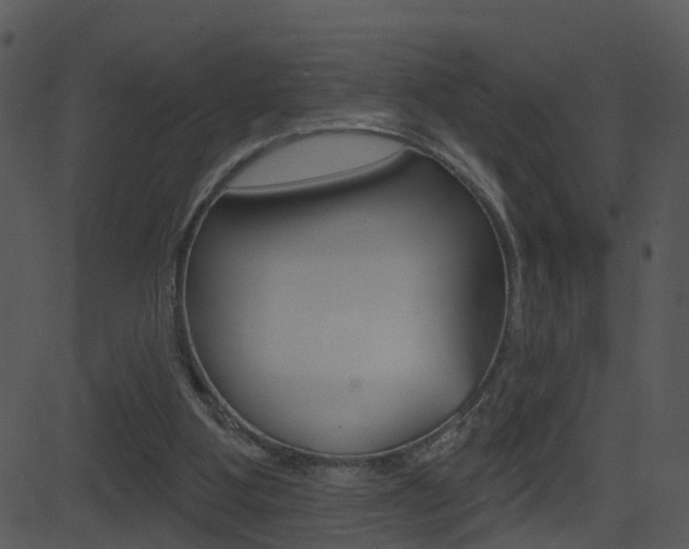 X0000081580107200701151011