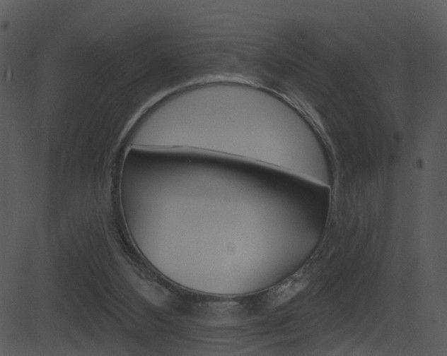 X0000081580108200701151011