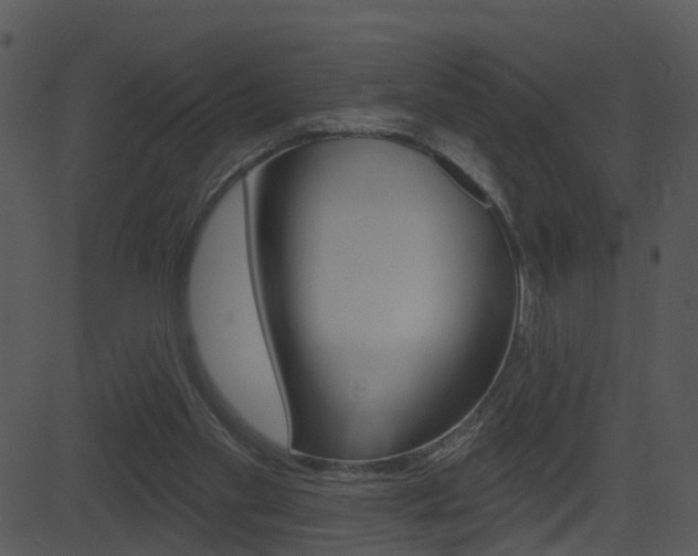 X0000081580109200701151011