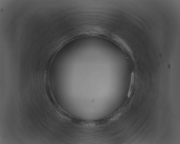 X0000081580113200701151010