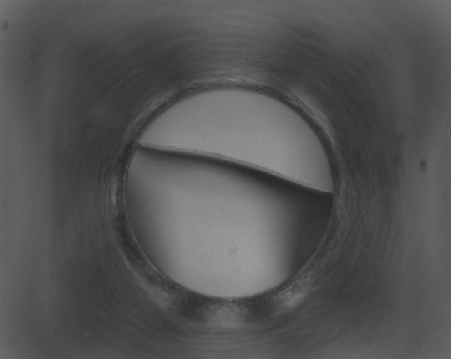 X0000081580115200701151010